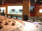 三门峡渑池仰韶文化博物馆旅游攻略 之 第二展厅