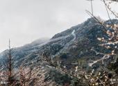 龙岩梅花山中国虎园旅游攻略 之 尖峰顶