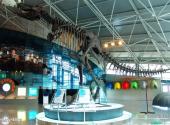 嘉荫恐龙国家地质公园旅游攻略 之 神州恐龙博物馆