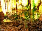 武隆喀斯特旅游区旅游攻略 之 珊瑚瑶池