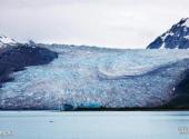 阿拉斯加冰川湾国家公园旅游攻略 之 哈普金冰河
