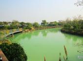 上海吴淞炮台湾国家湿地公园旅游攻略 之 公园