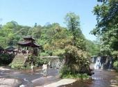 临沧五老山国家森林公园旅游攻略 之 金竹林大叠水