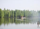 常熟虞山尚湖风景区旅游攻略 之 水上森林