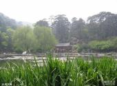 北京植物园旅游攻略 之 树木园
