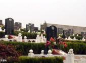 黄麻起义和鄂豫皖苏区革命烈士陵园旅游攻略 之 红军墓地