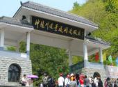 杭州神龙川风景旅游度假区旅游攻略 之 龙凤楼