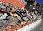 西藏托林寺旅游攻略 之 玛尼石刻