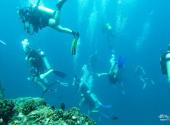 泰国斯米兰群岛旅游攻略 之 潜水