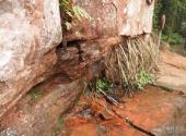 燕子岩国家森林公园旅游攻略 之 长寿泉