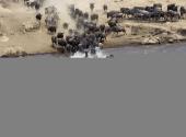 坦桑尼亚塞伦盖蒂国家公园旅游攻略 之 动物大迁徙