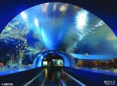 北京海洋馆旅游攻略 之 海底环游