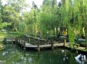 重庆北温泉风景区旅游攻略 之 温泉公园