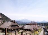 日本富士山旅游攻略 之 西湖里根场