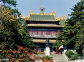 南京钟山和中山陵风景区旅游攻略 之 孙中山纪念馆