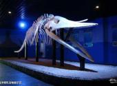 博鳌海洋馆旅游攻略 之 海洋哺乳动物展示区