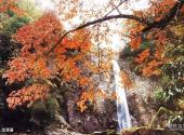 米仓山国家森林公园旅游攻略 之 龙潭瀑