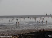 上海奉贤海湾旅游区旅游攻略 之 杭州湾贝壳自然保护区