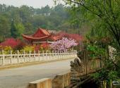 黔西南州贵州奇香园旅游攻略 之 桥