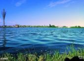 海安七星湖生态园旅游攻略 之 生态湿地区