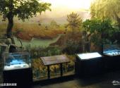 杭州跨湖桥遗址博物馆旅游攻略 之 农业起源的探索