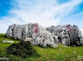 宜昌百里荒高山草原旅游区旅游攻略 之 地老天荒石头