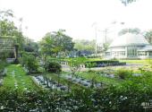 台北植物园旅游攻略 之 温室