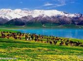 新疆赛里木湖旅游攻略 之 赛里木湖国家湿地公园
