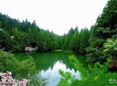 浙江天台山旅游风景区旅游攻略 之 华顶国家森林公园
