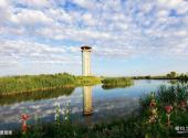 张掖国家湿地公园旅游攻略 之 景观塔