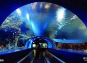 山海关欢乐海洋公园旅游攻略 之 海底隧道