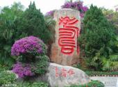 三亚南山文化旅游区旅游攻略 之 福寿文化园