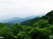 天水小陇山国家级自然保护区旅游攻略 之 碧峪景区