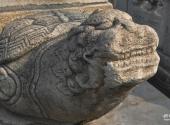 北京广济寺旅游攻略 之 石龟