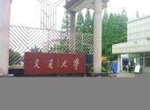上海交通大学校园风光 之 七宝校区