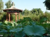 北京中华文化园旅游攻略 之 竹曲园