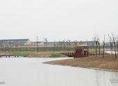 江阴长江之星农业湿地生态园旅游攻略 之 生态湖