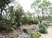 上海辰山植物园旅游攻略 之 蕨类植物园