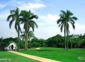 湛江南亚热带植物园旅游攻略 之 绿色草坪广场