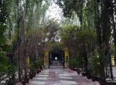 新疆艾提尕尔清真寺旅游攻略 之 庭院