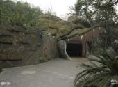 重庆动物园旅游攻略 之 两栖爬行馆