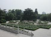 西安兴庆宫公园旅游攻略 之 牡丹园