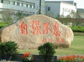 上海大学校园风光 之 石刻