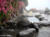 重庆颐尚温泉度假村旅游攻略 之 花之恋池、中医养生池