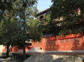 北京万寿寺旅游攻略 之 万寿阁