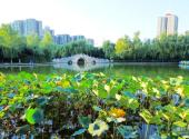西安丰庆公园旅游攻略 之 金湖