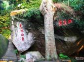 桂平西山风景名胜区旅游攻略 之 姚翁岩
