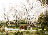 上海顾村公园旅游攻略 之 植物观赏园