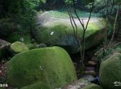 慈溪五磊山旅游攻略 之 天池浮莲