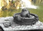 梧州龙母庙旅游攻略 之 放生池